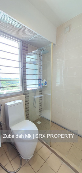 Blk 477C Upper Serangoon View (Hougang), HDB 4 Rooms #252791541